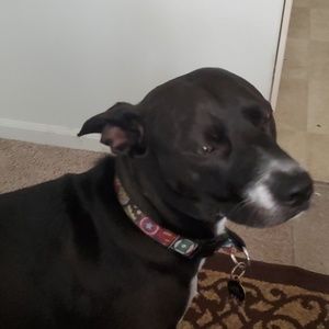 Meet your Posher, Francisco